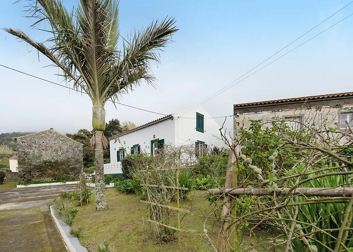 A Casa D\'Amalia